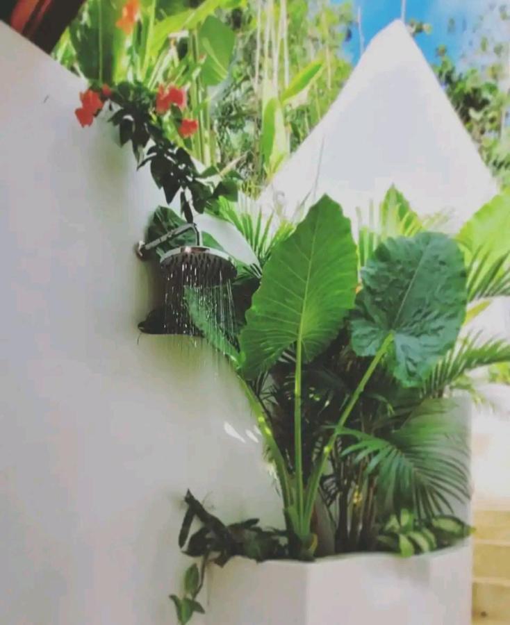 Nest Uluwatu - Eco Boutique Villa Εξωτερικό φωτογραφία