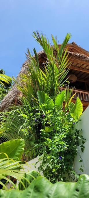 Nest Uluwatu - Eco Boutique Villa Εξωτερικό φωτογραφία