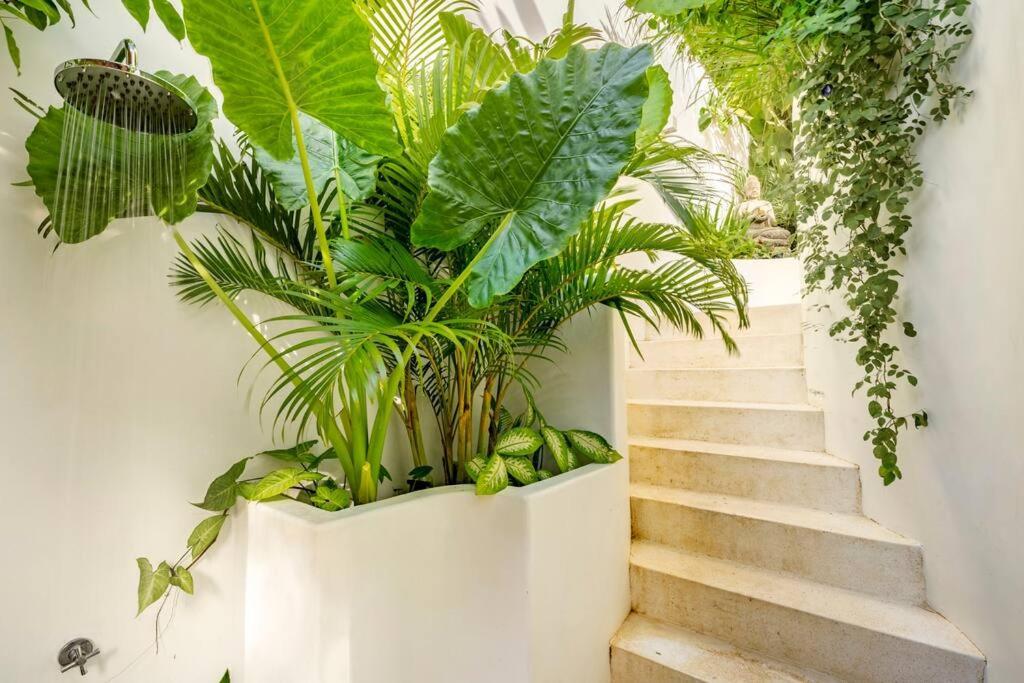 Nest Uluwatu - Eco Boutique Villa Εξωτερικό φωτογραφία